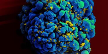 woman cured of hiv