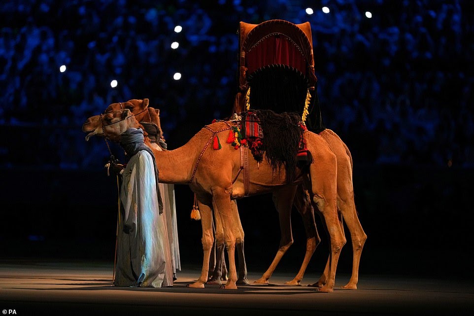 Camel at world cup 2022