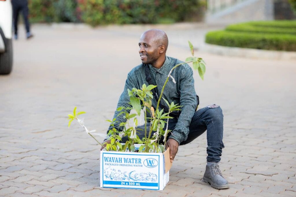 bryan morel planting trees