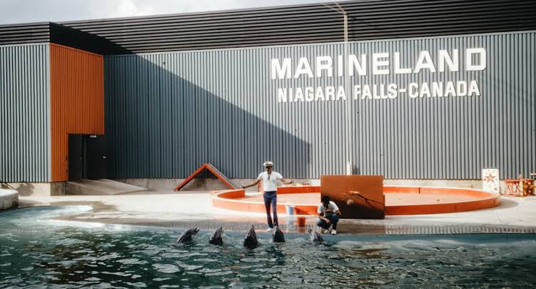 World's Loneliest Orca Whale, Kiska, Dies at Marineland Amidst Controversy