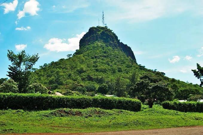 World Wildlife Day 2023: Celebrating Conservation Efforts and Touring Tororo Rock in Uganda
