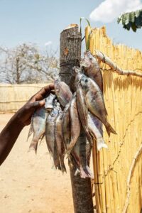 'Sex for Fish' in Malawi