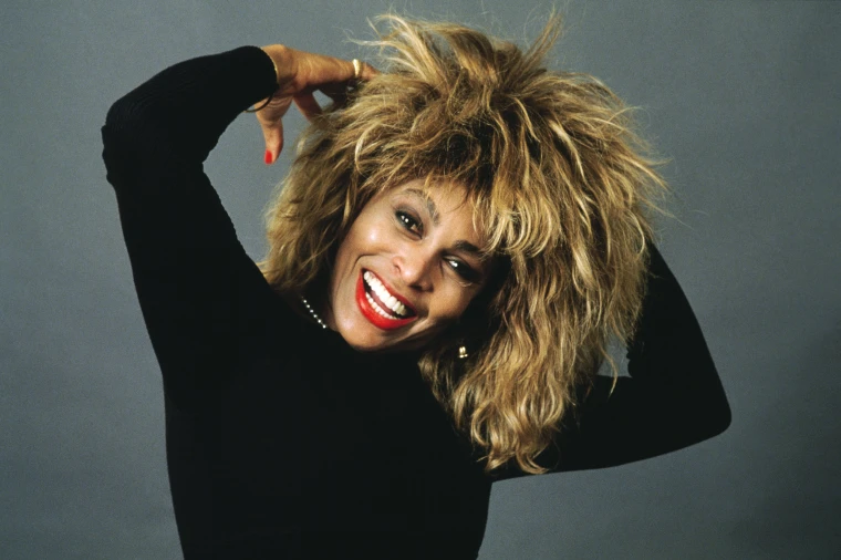 Tina Turner history