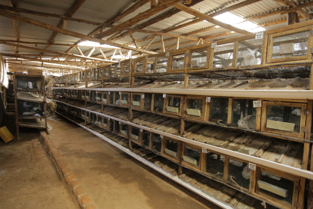 dfcu Bank and Best Farmers Competition highlight successful youth-led agribusiness, KALF