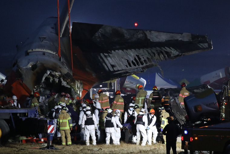 Investigation for the cause of plane crash in south Korea has started