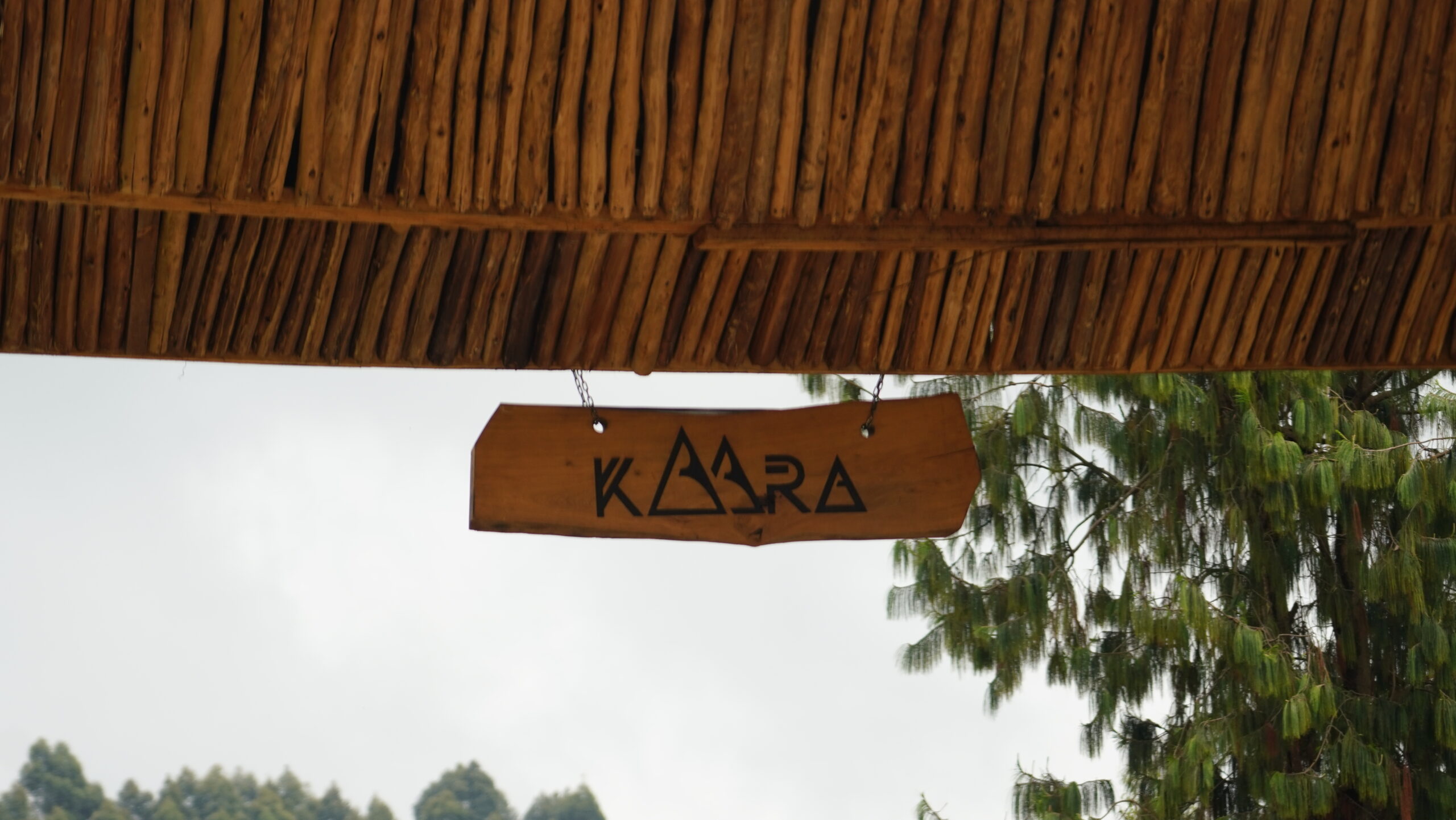 Leah Nabukeera: My experience after visiting Kara Gorilla Mountain Lodge