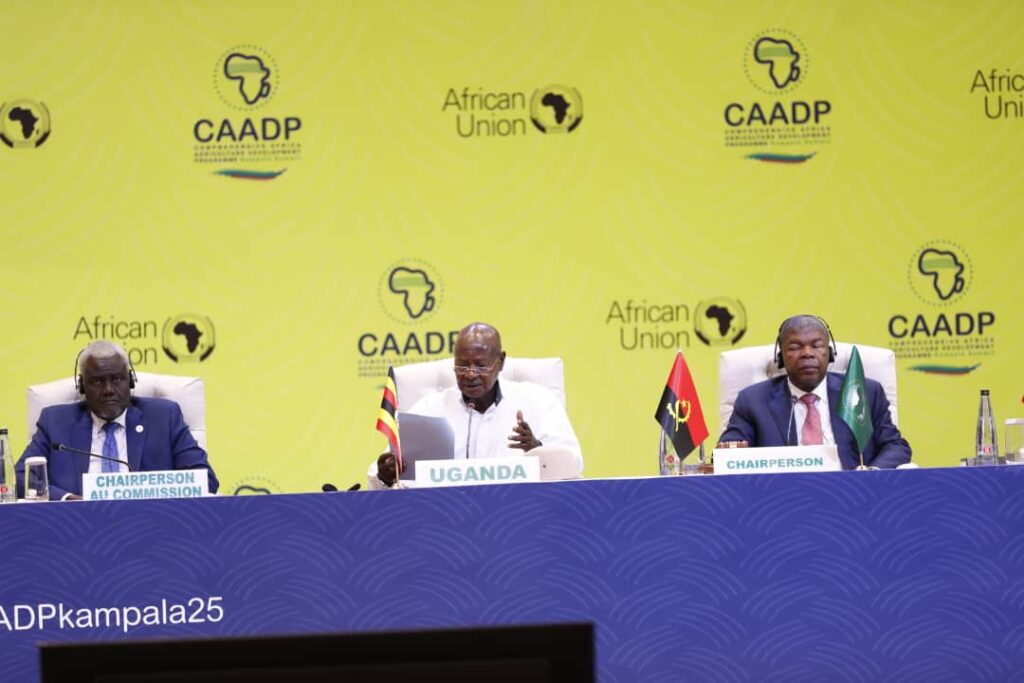 CAADP 2025 Summit | AU Adopts New Agricultural Development Strategy