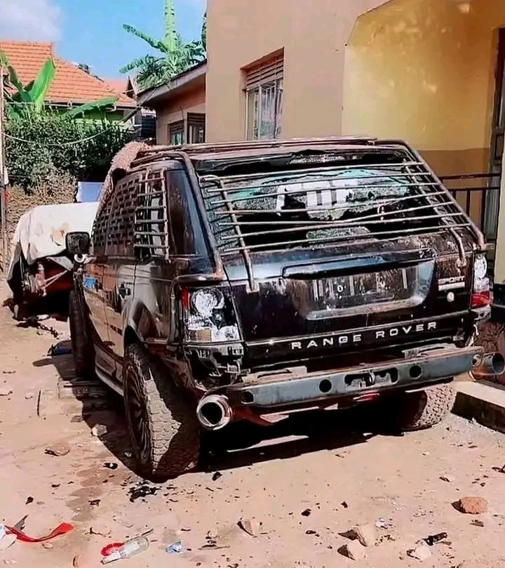 Pallaso storms Fangone forest